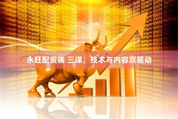 永旺配资端 三谋，技术与内容双驱动