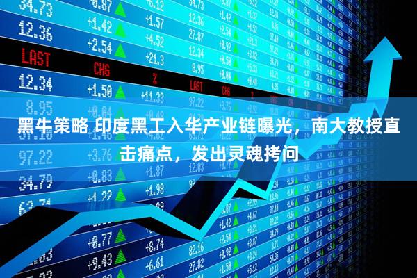 黑牛策略 印度黑工入华产业链曝光，南大教授直击痛点，发出灵魂拷问