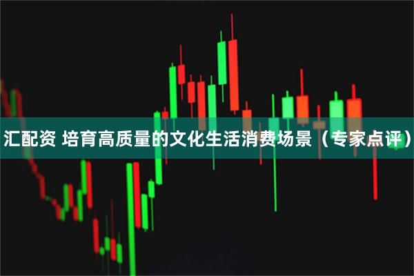 汇配资 培育高质量的文化生活消费场景（专家点评）