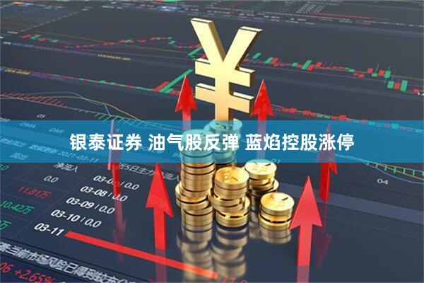银泰证券 油气股反弹 蓝焰控股涨停
