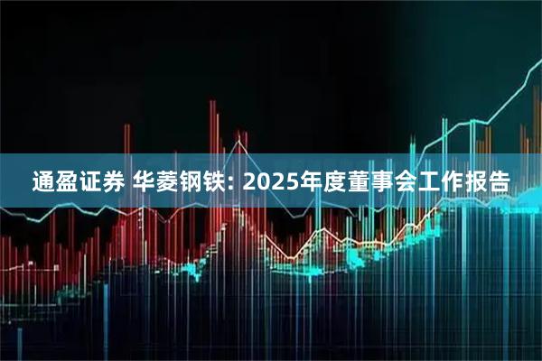 通盈证券 华菱钢铁: 2025年度董事会工作报告