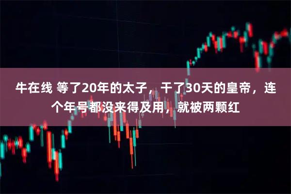 牛在线 等了20年的太子，干了30天的皇帝，连个年号都没来得及用，就被两颗红