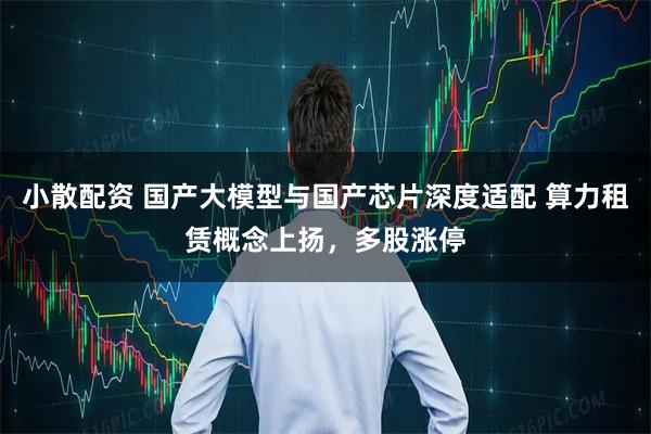 小散配资 国产大模型与国产芯片深度适配 算力租赁概念上扬，多股涨停