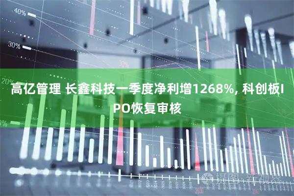 高亿管理 长鑫科技一季度净利增1268%, 科创板IPO恢复审核