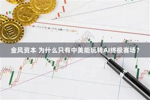 金风资本 为什么只有中美能玩转AI终极赛场？