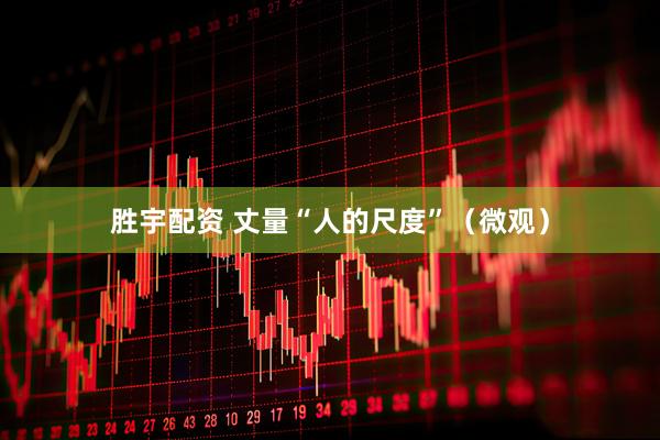 胜宇配资 丈量“人的尺度”（微观）