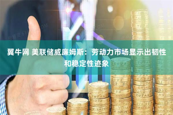 翼牛网 美联储威廉姆斯:劳动力市场显示出韧性和稳定性迹象