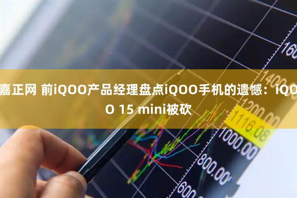嘉正网 前iQOO产品经理盘点iQOO手机的遗憾：iQOO 15 mini被砍